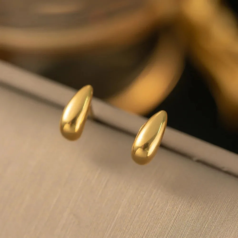 Hyz | 316L Stainless Steel Hoop Earrings Gift GIVINY