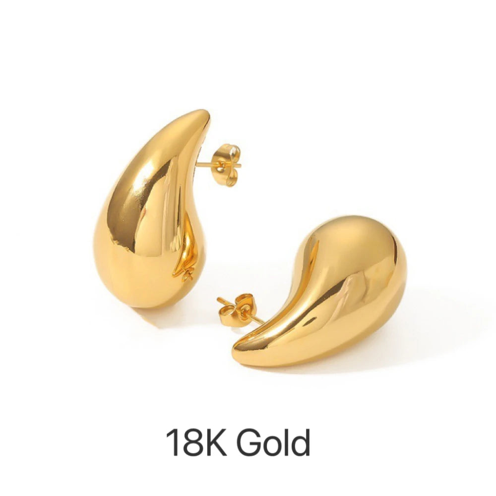 Hyz | 316L Stainless Steel Hoop Earrings Gift GIVINY